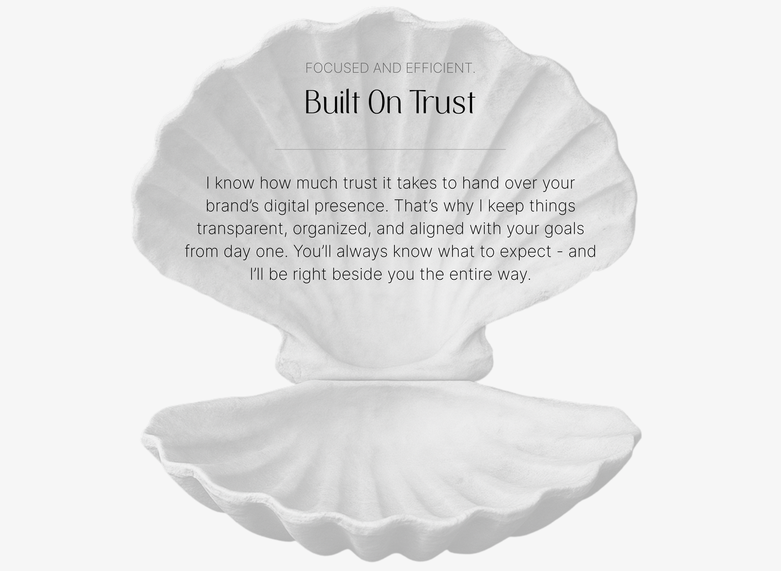 Shell-shaped background with overlay text focused on client trust, transparency, and personalized guidance throughout the custom web design journey.
